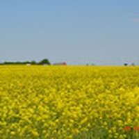 Profile Picture of Cassidy Lamb (@cassidy-lamb-8) on Quora