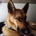 Profile Picture of Maya Galeas-Allen (@galeasallen) on Pinterest