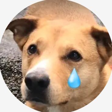 Profile Picture of Varun Nair (@@brouraboomer) on Tiktok