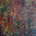 Profile Picture of Richard Munoz (@rich a munoz) on Flickr