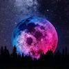 Profile Picture of Jason Harrington (@@scarletann26827) on Tiktok