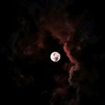 Profile Picture of kevin (@mannathkevin) on Instagram