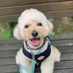 Profile Picture of Eugene Sue Jang (@camille4u) on Instagram