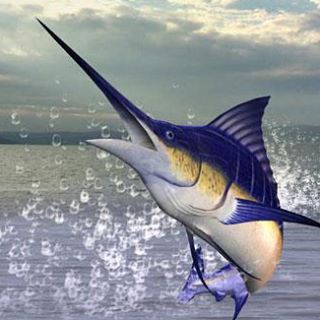 Profile Picture of Harold Rines (@harold.rines.9) on Facebook