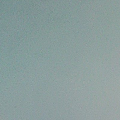 Profile Picture of Michael Lucisano (@MichaelLucisano) on Twitter