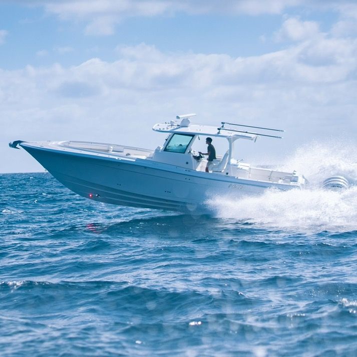 Profile Picture of Hollywoodgrella (@michaelgrella) on Tiktok