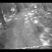 Profile Picture of Jeremy Simmons (@jsdigger) on Youtube