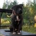 Profile Picture of Carl Crabtree (@cmco88) on Pinterest