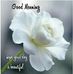 Profile Picture of Rittapalli Latha (@rittapalli.latha) on Facebook