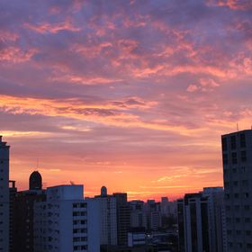 Profile Picture of Chris Sheridan (@lupinelady135) on Pinterest