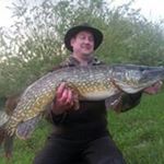 Profile Picture of David Scales (@davidscales52) on Instagram