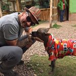 Profile Picture of Wolf Healing- Nigel Bond (@nigel.bond) on Instagram