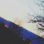 Profile Picture of nathan siegel (@always_last95) on Instagram