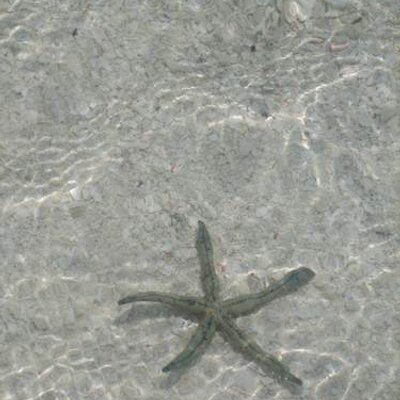 Profile Picture of Maureen Reidy (@modee39) on Twitter