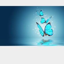 Profile Picture of Vasavi Reddy (@vasavireddythi1) on Twitter