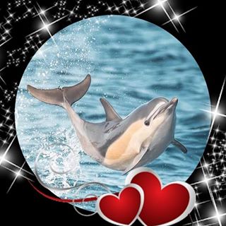 Profile Picture of Ada Cerna (@ada.cerna.79) on Facebook