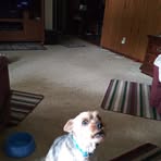 Profile Picture of Mark Rodebaugh (@mark.rodebaugh.9) on Facebook