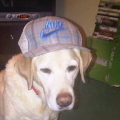 Profile Picture of Nolan Lynch (@LynchNolan) on Twitter