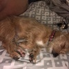 Profile Picture of Cheryl Seubert (@@cherylseubert) on Tiktok
