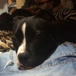 Profile Picture of ispikerziakim (@ispikerziakim) on Instagram