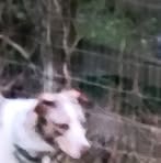 Travis Baranowski - Facebook Profile Picture of Travis Baranowski (@travis.baranowski.17) on Facebook