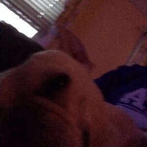 Profile Picture of John Rainone (@johnr1083) on Myspace