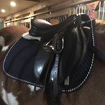 Profile Picture of 𝕭𝖗𝖎𝖆𝖓𝖓𝖊 𝕽𝖚𝖙𝖍𝖊𝖗𝖋𝖔𝖗𝖉 (@westeros_equestrian) on Instagram