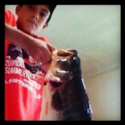 Profile Picture of Bailey Holt (@baileyholt3) on Twitter