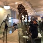 Profile Picture of Steven Joseph Atticus Heck (@gottalottabrain) on Instagram