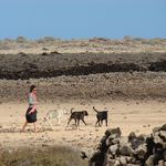 Profile Picture of Alessandra Borrello (@alex.luhar) on Instagram