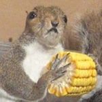 Profile Picture of Nathan Arthur (@donediddlyfuckedit) on Instagram