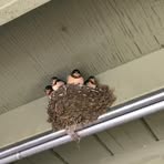 Profile Picture of Barron Eldridge (@barron.eldridge) on Facebook