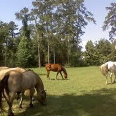 Profile Picture of Bryan Holdsworth (@BryanHoldswor) on Twitter