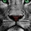 Profile Picture of Chris Cromer (@@cromer78133) on Tiktok