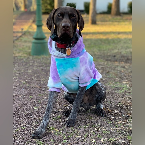 Sue Thornton - Poshmark Profile Picture of Sue Thornton (@suethornton561) on Poshmark