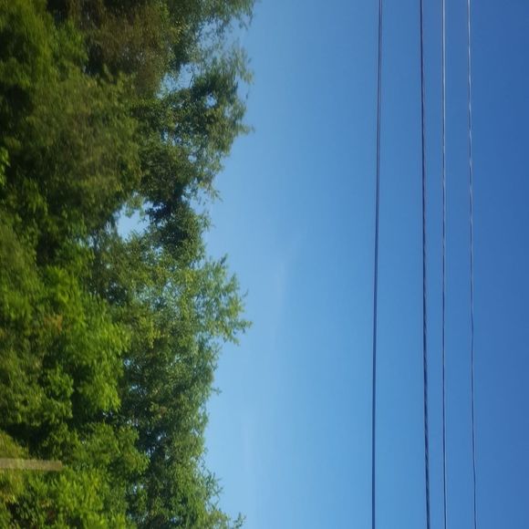 Profile Picture of Chase Stevens (@chasesteven420) on Poshmark