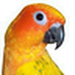Profile Picture of Clarence Jr (@clarence jr) on Flickr