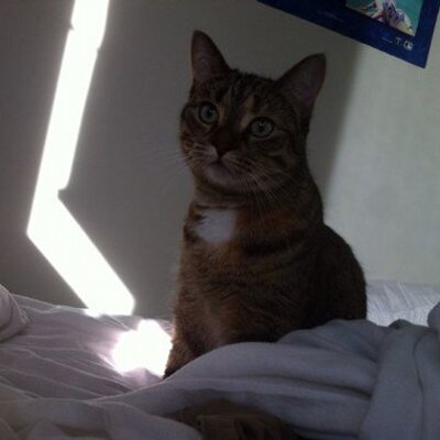 Profile Picture of Leah McCormack-Smith (@@trinbellwood) on Twitter