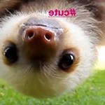 Profile Picture of Clair Walters (@clairwslters8599) on Instagram