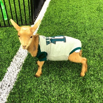 Profile Picture of Kirollos Mina (@KirollosMina4) on Twitter