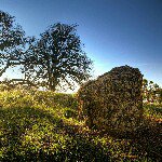 Profile Picture of Jose Cabot (@jlcabot) on Instagram