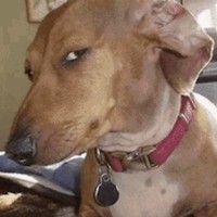 Profile Picture of Bella Caruso (@bella-caruso-17) on Quora