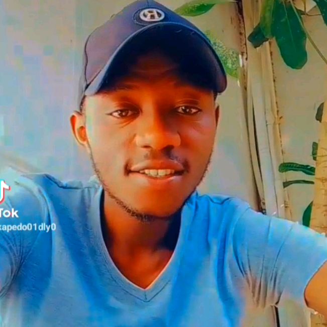 Profile Picture of @kevinsly (@kapedo01dly0) on Tiktok