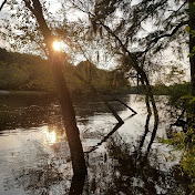 Profile Picture of Traci Riggs (@stillshining4u) on Youtube