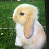 Profile Picture of Matthew Paton (@matthew.299) on Tiktok