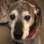 Profile Picture of phillip terry (@phillipterry1654) on Instagram