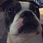 Profile Picture of Douglas Graham (@dougygraham) on Instagram