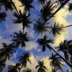 Profile Picture of Daryl Patterson (@skylinegroupllc) on Instagram