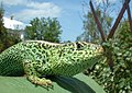 Profile Picture of Lacertidaeon Wikipedia
