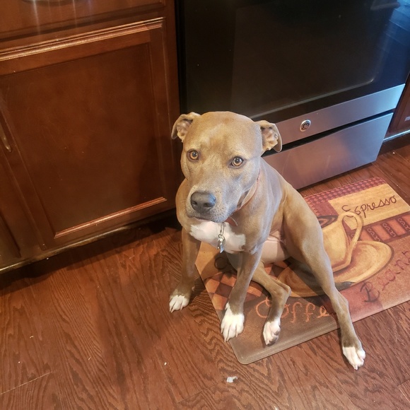 Profile Picture of Sharika Mucker (@sharikamm1) on Poshmark